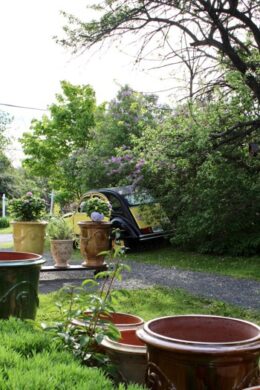 ❖ANDUZE PLANTER (55$ TO 1250$) - Image 52